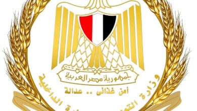 حملات التموين بـ 11 محافظة تضبط 130 طن سلع مخالفة وتُحبط تهريب بوتاجاز وسولار