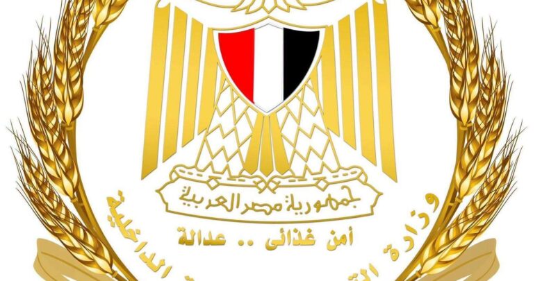 حملات التموين بـ 11 محافظة تضبط 130 طن سلع مخالفة وتُحبط تهريب بوتاجاز وسولار