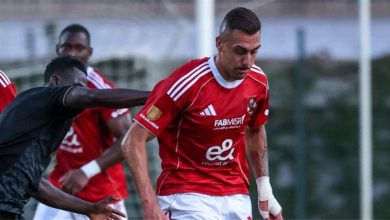 خاص | جراديشار يتلقى عرضين من الدوري المصري.. والأهلي يتحمل جزءًا من راتبه