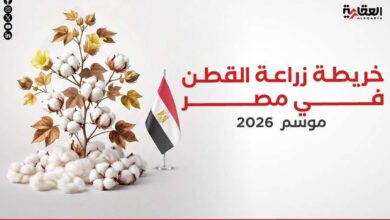 خريطة زراعة القطن في مصر موسم 2026