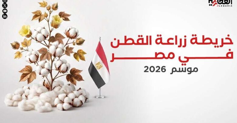 خريطة زراعة القطن في مصر موسم 2026
