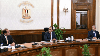 رئيس الوزراء يتابع مستجدات الموقف التنفيذي لمشروعات الطاقة المتجددة.. تفاصيل