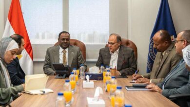 رئيس هيئة الدواء المصرية يستقبل الأمين العام للمجلس القومي للأدوية والسموم بالسودان لبحث تعزيز التعاون الدوائي المشترك