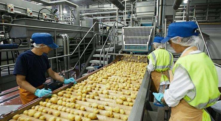 زيادة صادرات الصناعات الغذائية 10.5% خلال النصف الأول من 2026.. تفاصيل