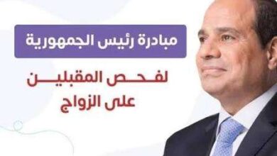 زيفوا موقع مبادرة الرئيس السيسي.. ضبط أخطر عصابة نصبت على المواطنين في 26 مليون جنيه