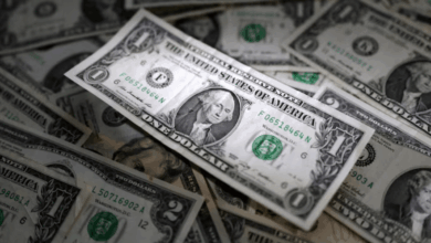 سعر الدولار أمام الجنيه المصري اليوم الاثنين 13 يوليو 2026