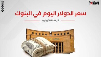 سعر الدولار اليوم الجمعة 10 يوليو 2026 في البنوك
