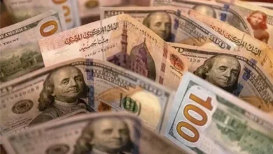 سعر الدولار اليوم الجمعة 17 يوليو 2026 أمام الجنيه بالبنوك