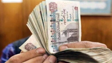 شهر الخير.. مرتبات بالزيادة وميداليات تذكارية من وزير المالية للمصريين