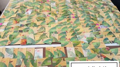 ضبط 9837 بطاقة تموينية مُجمعة داخل مخابز ومنافذ تموينية بـ14 محافظة