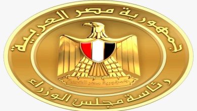 عاجل.. بيان جديد من الحكومة بشأن السفينتين