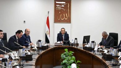 عاجل.. قرار هام من الحكومة بشأن زراعة الكتان في مصر