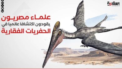 علماء مصريون يقودون اكتشافا عالميا في الحفريات الفقارية