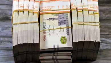 قرض حكومي للموظفين بدون فوائد بالتقسيط على 30 شهرًا.. اعرف الشروط وتفاصيل التقديم