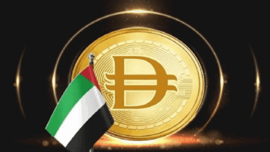 كل ما تريد معرفته عن العملة الرقمية DDSC التي تستعد لدخول حياة الإماراتيين