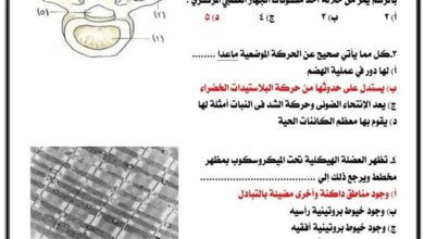 لطلاب الثانوية العامة.. بالاجابات النموذج الاسترشادي الثاني في الأحياء