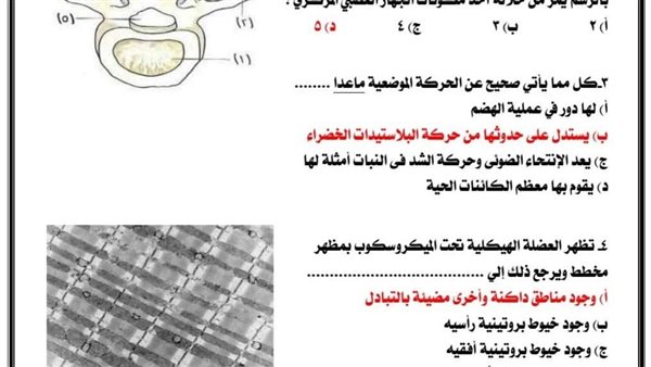 لطلاب الثانوية العامة.. بالاجابات النموذج الاسترشادي الثاني في الأحياء