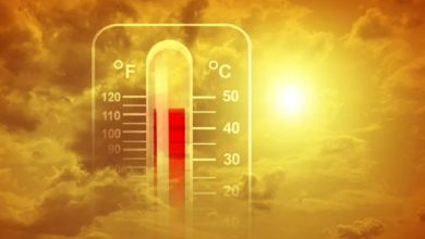 مخاطر صامتة في بيئة العمل.. كيف يهدد الإجهاد الحراري صحة العمال وسلامتهم؟