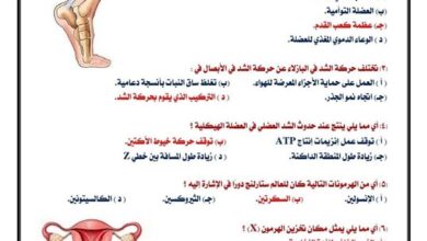 مراجعة نهائية.. النموذج الاسترشادي السادس في الأحياء بالإجابات لطلاب الثانوية العامة 2026