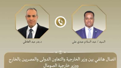 مصر تؤكد دعمها الكامل للصومال ورفضها أي مساس بوحدة أراضيها