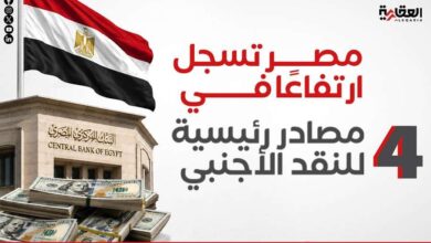 مصر تسجل ارتفاعًا في 4 مصادر رئيسية للنقد الأجنبي