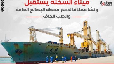 ميناء السخنة يستقبل ونشا عملاقا لدعم محطة البضائع العامة والصب الجاف