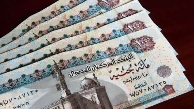 نقابة أصحاب المعاشات: جميع المستحقين حصلوا على زيادة 15%.. والالتباس بسبب طريقة احتساب المنحة