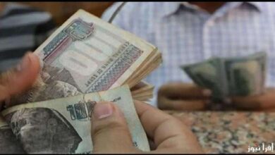 هتوصل 14900 جنيه.. زيادة المرتبات خلال أيام قليلة لملايين الموظفين «اعرف موعد الصرف والأماكن»