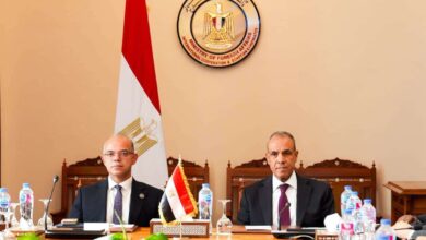 وزيرا الخارجية والاستثمار يبحثان تنسيق السياسات وتكامل الجهود لدعم استثمارات الشركات المصرية في إفريقيا