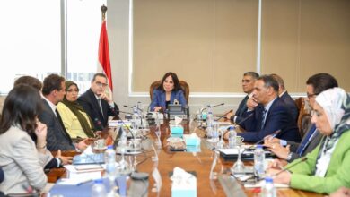 وزيرة الإسكان تبحث مع مسئولي شركة مصر إيطاليا للتطوير العقاري أوجه التعاون