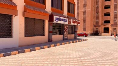 وزيرة الإسكان تتابع سير العمل بعدد من المشروعات الخدمية والتنموية بمدن الصعيد الجديدة