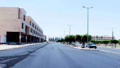 وزيرة الإسكان تتابع موقف مشروعات التطوير والبنية الأساسية والمرافق بمدينة السادات