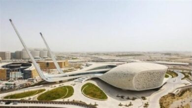 وظيفة جامعة.. جامعة حمد بن خليفة تعلن وظائف أعضاء هيئة تدريس.. تعرف على الشروط وموعد التقديم