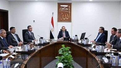 100 مصنع في 3 سنوات.. الحكومة تضع خريطة جديدة لـ«القرية المنتجة»