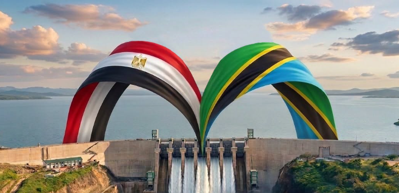 أستاذ اقتصاد: نجاح سد جوليوس نيريري يفتح الباب أمام مشروعات مصرية جديدة في أفريقيا