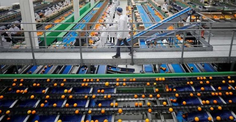 ارتفاع بـ 5.1% في الرقم القياسي للصناعات التحويلية والاستخراجية بمصر خلال يونيو 2026