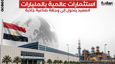 استثمارات عالمية بالمليارات.. الصعيد يتحول إلى وجهة صناعية جاذبة