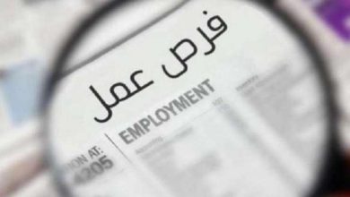 برواتب تصل لـ 17 ألف جنيه.. وزارة العمل تعلن عن وظائف جديدة بمنتجع سياحي فاخر