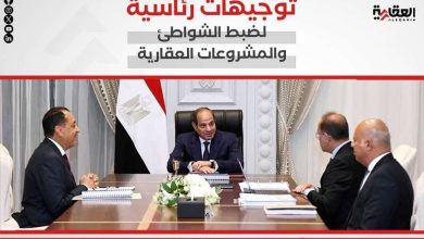 توجيهات رئاسية لضبط الشواطئ والمشروعات العقارية