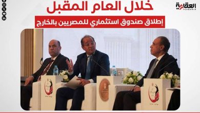 خلال العام المقبل.. إطلاق صندوق استثماري للمصريين بالخارج