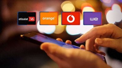 رئيس «اتصالات النواب» يكشف موعد تطبيق بصمة الوجه عند شراء خطوط المحمول