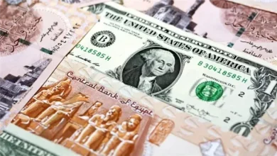 سعر الدولار اليوم الأربعاء 19 أغسطس 2026.. استقرار في البنوك