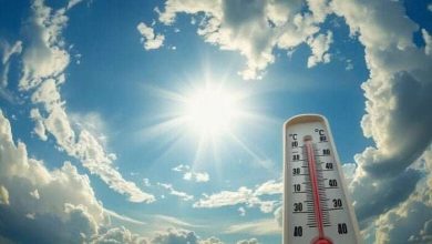 طقس الجمعة 21 أغسطس 2026.. أجواء حارة وشديدة الحرارة