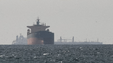 طهران تؤكد استمرار المحادثات الفنية والسياسية مع مسقط بشأن الملاحة في مضيق هرمز