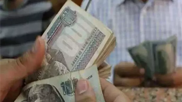 عضو المجلس القومي للأجور: الحد الأدنى للأجور لا يكفي احتياجات الأسرة