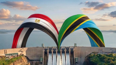 ما أهمية مشاركة مصر في مشروع جوليوس نيريري؟.. خبير يوضح