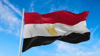 مصر تتصدر إفريقيا في العلوم التطبيقية