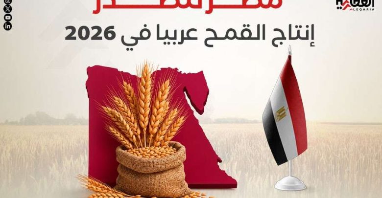 مصر تتصدر إنتاج القمح عربيا في 2026