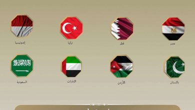 مصر وقطر ودول عربية وإسلامية تدعو لوقف الانتهاكات الإسرائيلية في غزة