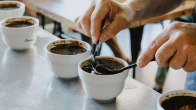 من البسلة إلى نوى البلح.. عضو بالغرفة التجارية يكشف أسرار التلاعب في القهوة